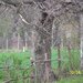 Bogati, jud. Arges,